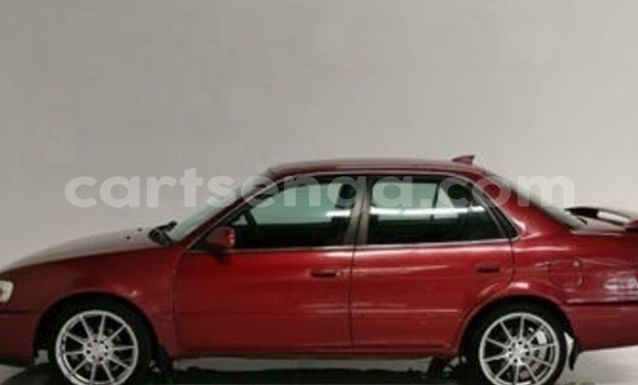 Buy Used Toyota Corolla Red Car in Mbabane in Manzini Buy Used Toyota Corolla Red Car in Mbabane in Manzini