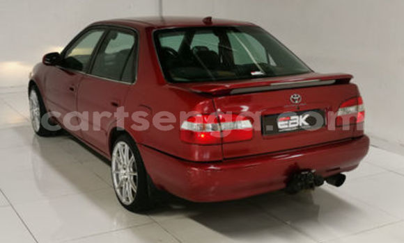 Buy Used Toyota Corolla Red Car in Mbabane in Manzini Buy Used Toyota Corolla Red Car in Mbabane in Manzini