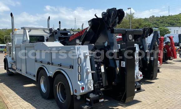 Buy Used Ricomag BW200 Blue Truck in Ezulwini in Hhohho