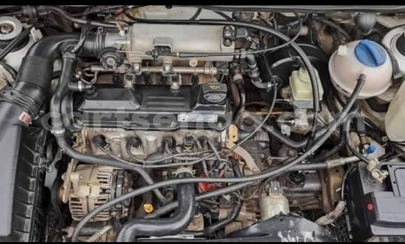 Buy Used Volkswagen Golf White Car in Mbabane in Manzini Buy Used Volkswagen Golf White Car in Mbabane in Manzini