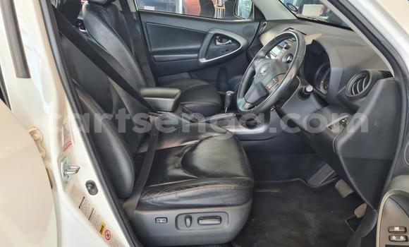 Nunua Ilio tumika Toyota RAV4 White Gari ndani ya Ezulwini nchini Hhohho Nunua Ilio tumika Toyota RAV4 White Gari ndani ya Ezulwini nchini Hhohho