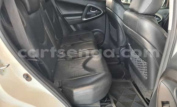 Nunua Ilio tumika Toyota RAV4 White Gari ndani ya Ezulwini nchini Hhohho Nunua Ilio tumika Toyota RAV4 White Gari ndani ya Ezulwini nchini Hhohho