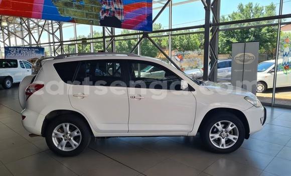 Nunua Ilio tumika Toyota RAV4 White Gari ndani ya Ezulwini nchini Hhohho Nunua Ilio tumika Toyota RAV4 White Gari ndani ya Ezulwini nchini Hhohho