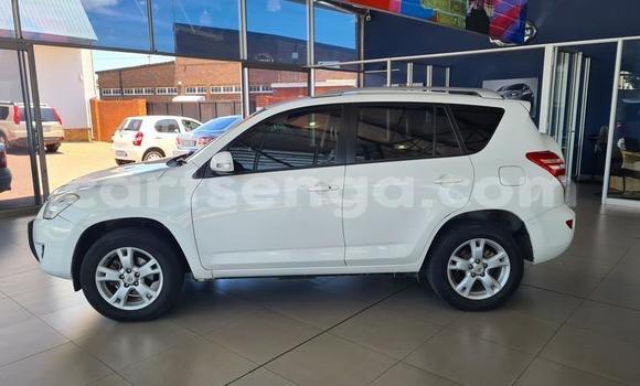 Nunua Ilio tumika Toyota RAV4 White Gari ndani ya Ezulwini nchini Hhohho Nunua Ilio tumika Toyota RAV4 White Gari ndani ya Ezulwini nchini Hhohho