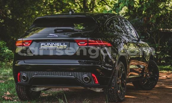 Acheter Occasion Voiture Jaguar E-Pace Noir à Mbabane, Manzini Acheter Occasion Voiture Jaguar E-Pace Noir à Mbabane, Manzini