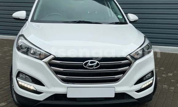Buy Used Hyundai Tucson White Car in Vuvulane in Lubombo District Buy Used Hyundai Tucson White Car in Vuvulane in Lubombo District