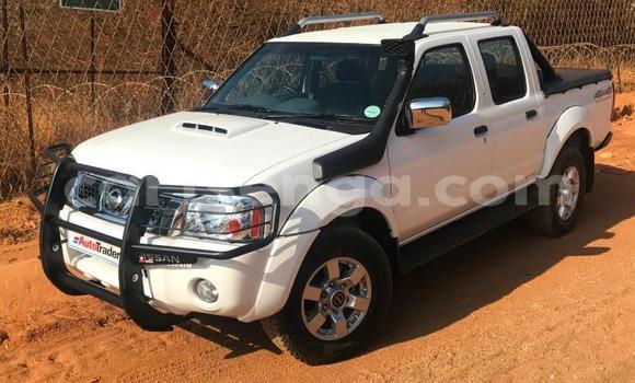 Acheter Occasion Voiture Nissan Hardbody Blanc à Bulembu, Hhohho