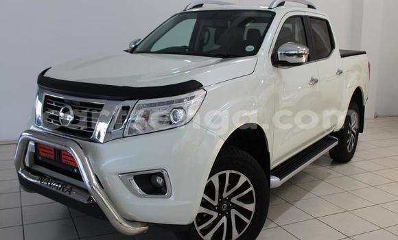 Buy Used Nissan Navara White Car in Big Bend in Lubombo District