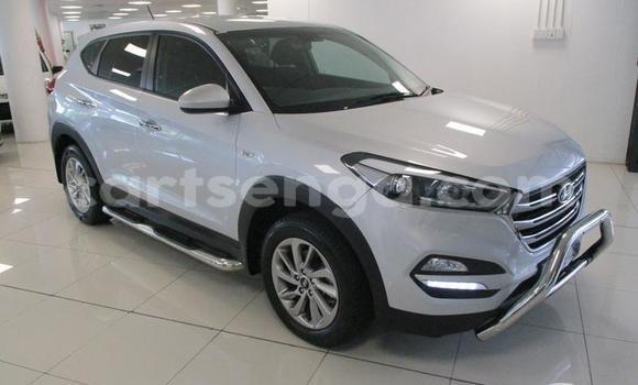 Nunua Ilio tumika Hyundai ix35 Silver Gari ndani ya Ezulwini nchini Hhohho Nunua Ilio tumika Hyundai ix35 Silver Gari ndani ya Ezulwini nchini Hhohho