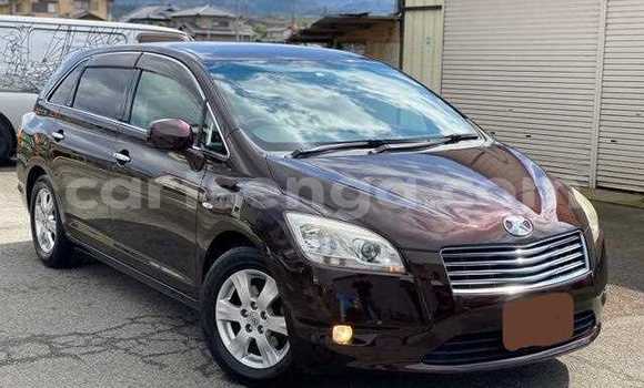 Buy Used Toyota Mark X ZiO Red Car in Ezulwini in Hhohho Buy Used Toyota Mark X ZiO Red Car in Ezulwini in Hhohho