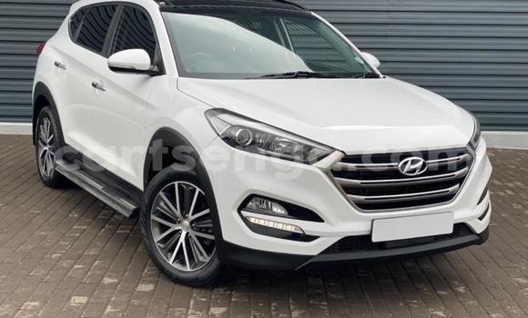 Buy Used Hyundai Tucson White Car in Ezulwini in Hhohho