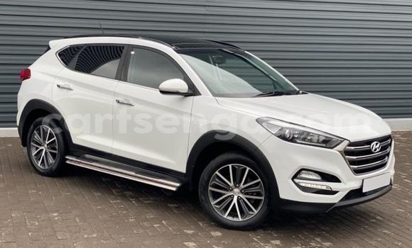 Acheter Occasion Voiture Hyundai Tucson Blanc à Ezulwini, Hhohho Acheter Occasion Voiture Hyundai Tucson Blanc à Ezulwini, Hhohho