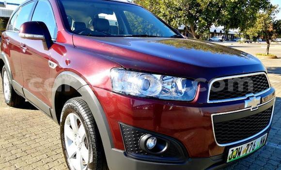 Buy Used Chevrolet Captiva Red Car in Ezulwini in Hhohho