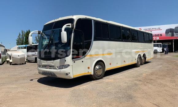 Buy Used Man Silent White Truck in Hluti in Shiselweni District Buy Used Man Silent White Truck in Hluti in Shiselweni District