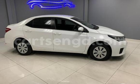 Nunua Ilio tumika Toyota Corolla White Gari ndani ya Manzini nchini Manzini Nunua Ilio tumika Toyota Corolla White Gari ndani ya Manzini nchini Manzini