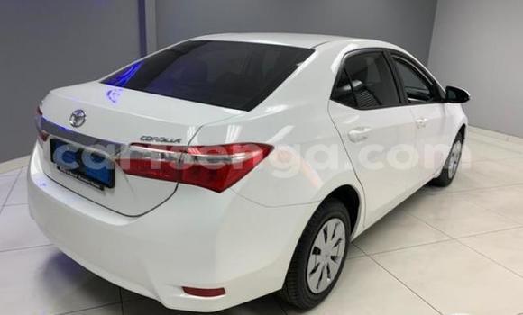 Nunua Ilio tumika Toyota Corolla White Gari ndani ya Manzini nchini Manzini Nunua Ilio tumika Toyota Corolla White Gari ndani ya Manzini nchini Manzini