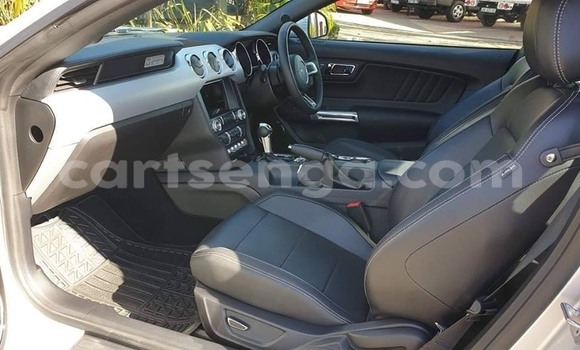 Acheter Occasion Voiture Ford Mustang Gris à Mbabane, Manzini Acheter Occasion Voiture Ford Mustang Gris à Mbabane, Manzini