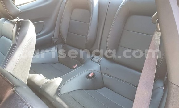 Acheter Occasion Voiture Ford Mustang Gris à Mbabane, Manzini Acheter Occasion Voiture Ford Mustang Gris à Mbabane, Manzini