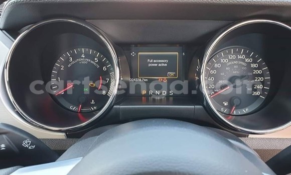 Acheter Occasion Voiture Ford Mustang Gris à Mbabane, Manzini Acheter Occasion Voiture Ford Mustang Gris à Mbabane, Manzini