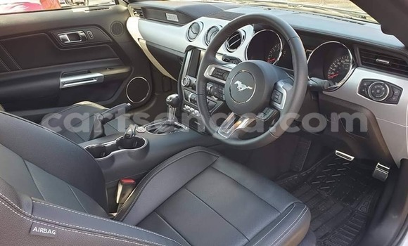 Acheter Occasion Voiture Ford Mustang Gris à Mbabane, Manzini Acheter Occasion Voiture Ford Mustang Gris à Mbabane, Manzini