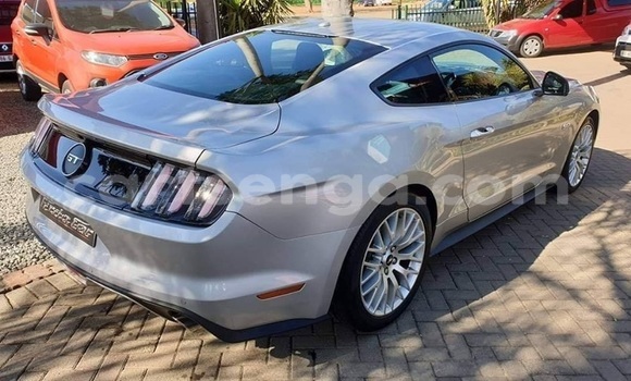 Acheter Occasion Voiture Ford Mustang Gris à Mbabane, Manzini Acheter Occasion Voiture Ford Mustang Gris à Mbabane, Manzini