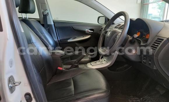 Nunua Ilio tumika Toyota Corolla White Gari ndani ya Ezulwini nchini Hhohho Nunua Ilio tumika Toyota Corolla White Gari ndani ya Ezulwini nchini Hhohho