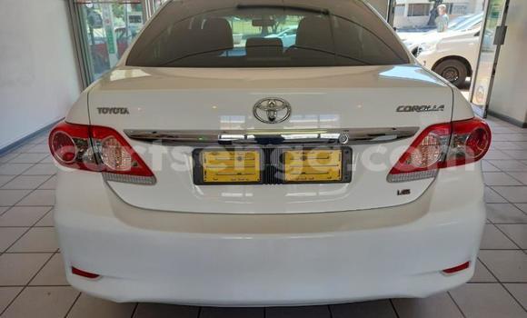 Nunua Ilio tumika Toyota Corolla White Gari ndani ya Ezulwini nchini Hhohho Nunua Ilio tumika Toyota Corolla White Gari ndani ya Ezulwini nchini Hhohho