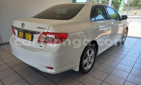 Nunua Ilio tumika Toyota Corolla White Gari ndani ya Ezulwini nchini Hhohho Nunua Ilio tumika Toyota Corolla White Gari ndani ya Ezulwini nchini Hhohho