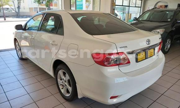 Nunua Ilio tumika Toyota Corolla White Gari ndani ya Ezulwini nchini Hhohho Nunua Ilio tumika Toyota Corolla White Gari ndani ya Ezulwini nchini Hhohho