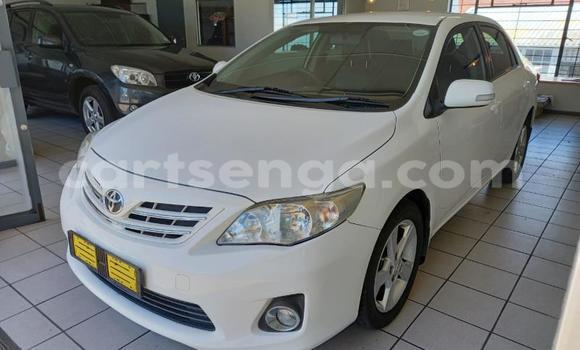 Nunua Ilio tumika Toyota Corolla White Gari ndani ya Ezulwini nchini Hhohho Nunua Ilio tumika Toyota Corolla White Gari ndani ya Ezulwini nchini Hhohho