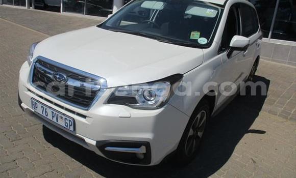 Buy Used Subaru Forester White Car in Manzini in Manzini