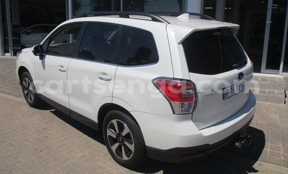 Acheter Occasion Voiture Subaru Forester Blanc à Manzini, Manzini Acheter Occasion Voiture Subaru Forester Blanc à Manzini, Manzini