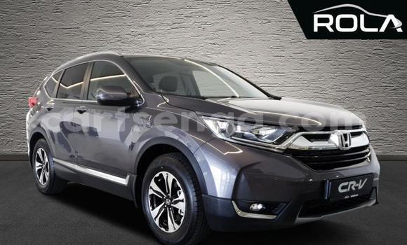 Nunua Ilio tumika Honda CR–V Other Gari ndani ya Ezulwini nchini Hhohho Nunua Ilio tumika Honda CR–V Other Gari ndani ya Ezulwini nchini Hhohho