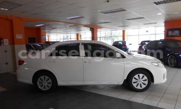 Buy Used Toyota Corolla White Car in Bhunya in Manzini Buy Used Toyota Corolla White Car in Bhunya in Manzini