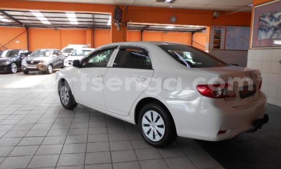Buy Used Toyota Corolla White Car in Bhunya in Manzini Buy Used Toyota Corolla White Car in Bhunya in Manzini