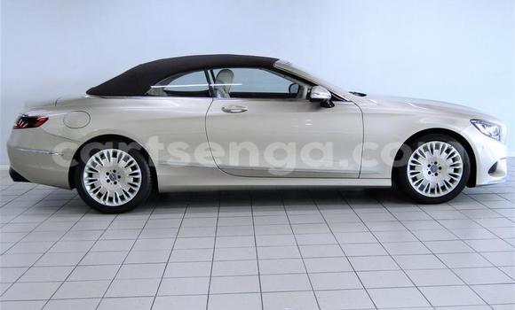 Acheter Occasion Voiture Mercedes‒Benz S–Class Gris à Mbabane, Manzini Acheter Occasion Voiture Mercedes‒Benz S–Class Gris à Mbabane, Manzini