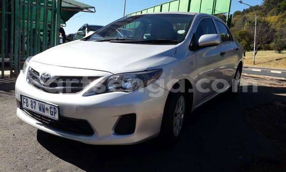 Buy Used Toyota Corolla Silver Car in Ezulwini in Hhohho Buy Used Toyota Corolla Silver Car in Ezulwini in Hhohho