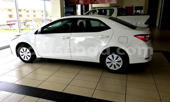 Buy Used Toyota Corolla White Car in Ezulwini in Hhohho Buy Used Toyota Corolla White Car in Ezulwini in Hhohho