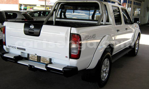 Buy Used Nissan NP 300 White Car in Bhunya in Manzini Buy Used Nissan NP 300 White Car in Bhunya in Manzini
