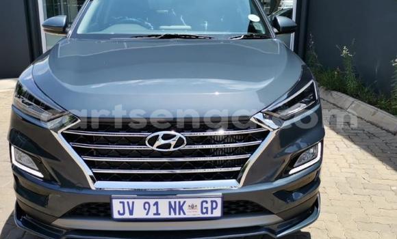 Nunua Ilio tumika Hyundai Tucson Beige Gari ndani ya Ezulwini nchini Hhohho