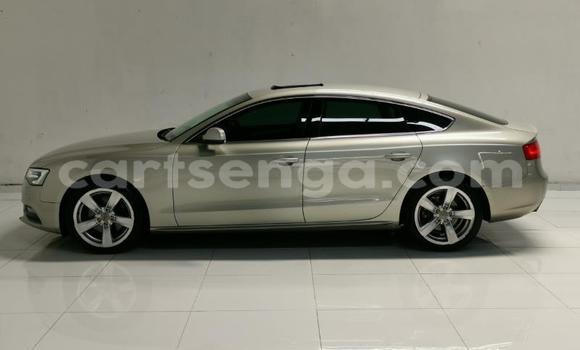 Acheter Occasion Voiture Audi A5 Beige à Big Bend, Lubombo Acheter Occasion Voiture Audi A5 Beige à Big Bend, Lubombo