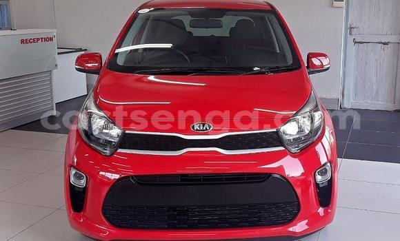 Buy Used Kia Picanto Red Car in Big Bend in Lubombo