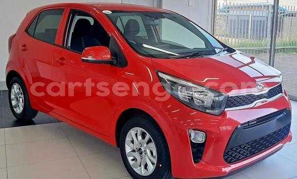 Nunua Ilio tumika Kia Picanto Red Gari ndani ya Big Bend nchini Lubombo Nunua Ilio tumika Kia Picanto Red Gari ndani ya Big Bend nchini Lubombo