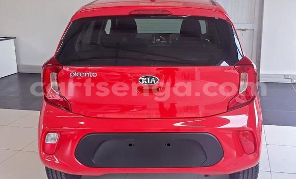 Nunua Ilio tumika Kia Picanto Red Gari ndani ya Big Bend nchini Lubombo Nunua Ilio tumika Kia Picanto Red Gari ndani ya Big Bend nchini Lubombo