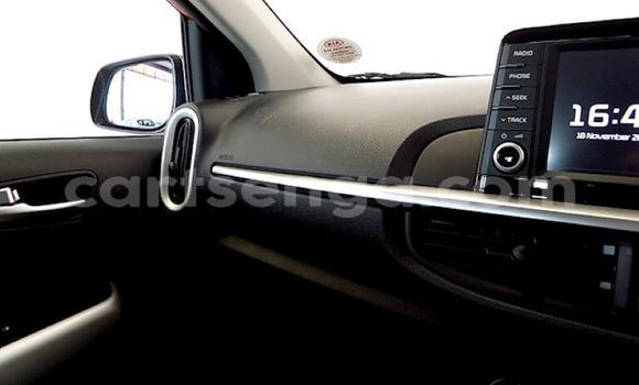 Nunua Ilio tumika Kia Picanto Red Gari ndani ya Big Bend nchini Lubombo Nunua Ilio tumika Kia Picanto Red Gari ndani ya Big Bend nchini Lubombo