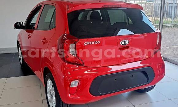 Nunua Ilio tumika Kia Picanto Red Gari ndani ya Big Bend nchini Lubombo Nunua Ilio tumika Kia Picanto Red Gari ndani ya Big Bend nchini Lubombo