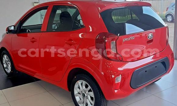 Nunua Ilio tumika Kia Picanto Red Gari ndani ya Big Bend nchini Lubombo Nunua Ilio tumika Kia Picanto Red Gari ndani ya Big Bend nchini Lubombo