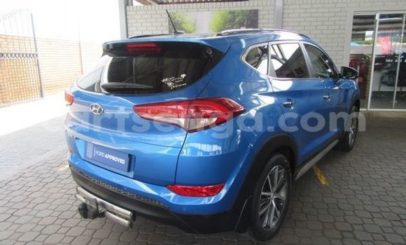 Nunua Ilio tumika Hyundai Tucson Blue Gari ndani ya Bulembu nchini Hhohho Nunua Ilio tumika Hyundai Tucson Blue Gari ndani ya Bulembu nchini Hhohho