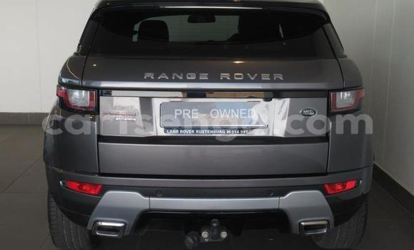 Buy Used Land Rover Range Rover Evoque Beige Car in Big Bend in Lubombo Buy Used Land Rover Range Rover Evoque Beige Car in Big Bend in Lubombo