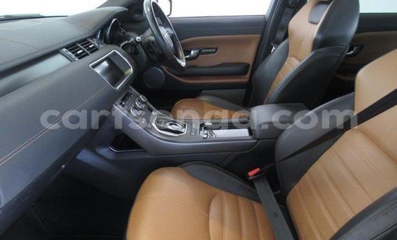 Buy Used Land Rover Range Rover Evoque Beige Car in Big Bend in Lubombo Buy Used Land Rover Range Rover Evoque Beige Car in Big Bend in Lubombo
